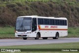 Viação Novo Horizonte 240 na cidade de Muriaé, Minas Gerais, Brasil, por Christian  Fortunato. Número da foto: #13274425.