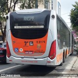 TRANSPPASS - Transporte de Passageiros 8 0176 na cidade de São Paulo, São Paulo, Brasil, por Michel Nowacki. Número da foto: #13276136.