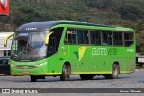 Pássaro Verde 11084 na cidade de Manhuaçu, Minas Gerais, Brasil, por Lucas Oliveira. Número da foto: #:id.