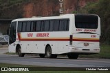 Viação Novo Horizonte 250 na cidade de Muriaé, Minas Gerais, Brasil, por Christian  Fortunato. Número da foto: #13274430.