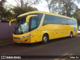 Ônibus Particulares 4342 na cidade de Cascavel, Paraná, Brasil, por Felipe  Dn. Número da foto: #13275801.