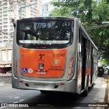 TRANSPPASS - Transporte de Passageiros 8 0347 na cidade de São Paulo, São Paulo, Brasil, por Michel Nowacki. Número da foto: #13276119.