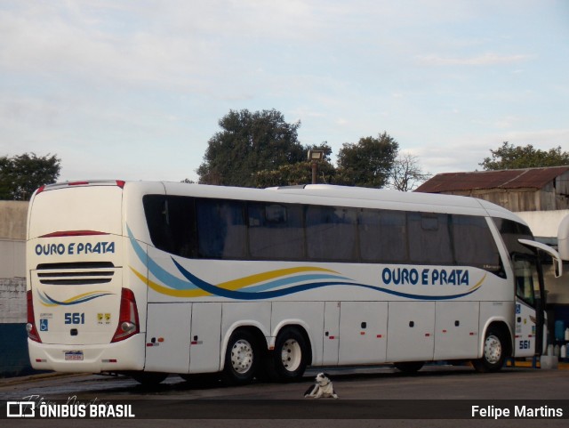 Viação Ouro e Prata 561 na cidade de Santana do Livramento, Rio Grande do Sul, Brasil, por Felipe Martins. Número da foto: #13276568.