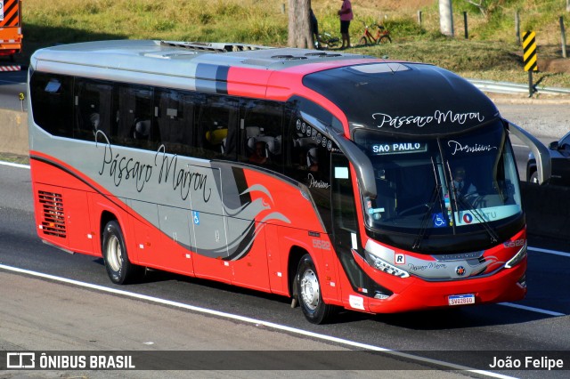 Empresa de Ônibus Pássaro Marron 5522 na cidade de Canas, São Paulo, Brasil, por João Felipe. Número da foto: #13278322.