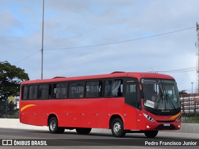 Ônibus Particulares 4E82 na cidade de Jaboatão dos Guararapes, Pernambuco, Brasil, por Pedro Francisco Junior. Número da foto: #13278978.