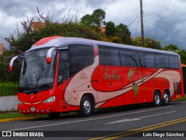 Tulin AB 4759 na cidade de Heredia, Heredia, Heredia, Costa Rica, por Luis Diego Sánchez. Número da foto: #13277055.