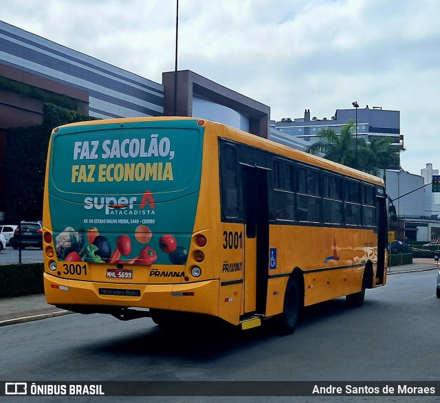 Viação Praiana 3001 na cidade de Balneário Camboriú, Santa Catarina, Brasil, por Andre Santos de Moraes. Número da foto: #13278538.