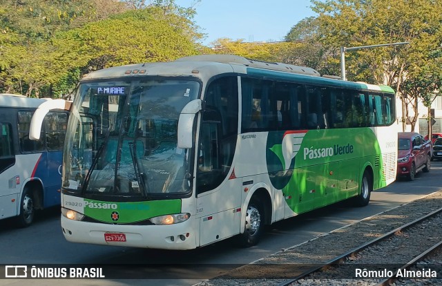 Pássaro Verde 29020 na cidade de Cataguases, Minas Gerais, Brasil, por Rômulo Almeida. Número da foto: #13279430.