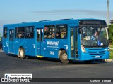 Biguaçu Transportes Coletivos Administração e Participação 502 na cidade de Florianópolis, Santa Catarina, Brasil, por Gustavo  Bonfate. Número da foto: #13278687.
