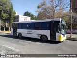 Indalo 2562 na cidade de Neuquén, Confluencia, Neuquén, Argentina, por Simón Aluhe Choiman. Número da foto: #13277703.