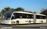 Araucária Transportes Coletivos 19M78 na cidade de Curitiba, Paraná, Brasil, por Jean Genser. Número da foto: #13279268.