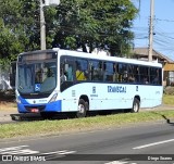 Transcal Sul Transportes Coletivos 24178 na cidade de Porto Alegre, Rio Grande do Sul, Brasil, por Diego Soares. Número da foto: #13277099.