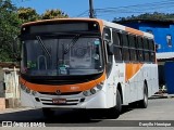 Viação Mirante A02019 na cidade de Nova Iguaçu, Rio de Janeiro, Brasil, por Danyllo Henrique. Número da foto: #13279721.