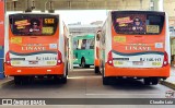 Linave Transportes RJ 146.116 na cidade de Nilópolis, Rio de Janeiro, Brasil, por Claudio Luiz. Número da foto: #:id.