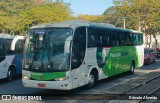 Pássaro Verde 29020 na cidade de Cataguases, Minas Gerais, Brasil, por Rômulo Almeida. Número da foto: #13279430.