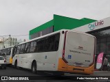 Pontual Sul Transporte e Turismo 23 003 na cidade de Botucatu, São Paulo, Brasil, por Pedro Henrique de Oliveira. Número da foto: #13279957.