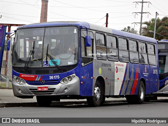 Vipol Transportes Rodoviários - TIPBUS - Transportes Intermunicipal 36.175 na cidade de São Paulo, São Paulo, Brasil, por Hipólito Rodrigues. Número da foto: #13281636.