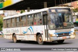 Viação Santa Elizabeth 4337 na cidade de Caratinga, Minas Gerais, Brasil, por Paulo Henrique Pereira Borges. Número da foto: #13282753.