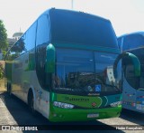 Palmeiras Turismo e Fretamento 2800 na cidade de Trindade, Goiás, Brasil, por Heder Gonçalves. Número da foto: #13280111.