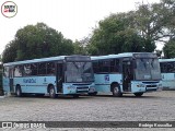 Transcal Sul Transportes Coletivos 24113 na cidade de Cachoeirinha, Rio Grande do Sul, Brasil, por Rodrigo Koscolka. Número da foto: #13281449.