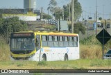 HP Transportes Coletivos 20066 na cidade de Goiânia, Goiás, Brasil, por André Luiz Canon. Número da foto: #13282057.
