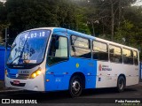 Transwolff Transportes e Turismo 6 6524 na cidade de São Paulo, São Paulo, Brasil, por Pedro Fernandes. Número da foto: #13280705.