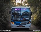 Transwolff Transportes e Turismo 6 6524 na cidade de São Paulo, São Paulo, Brasil, por Pedro Fernandes. Número da foto: #13280719.