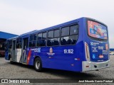 Transportes Capellini 19.162 na cidade de Hortolândia, São Paulo, Brasil, por José Eduardo Garcia Pontual. Número da foto: #13281514.