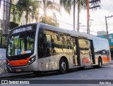 TRANSPPASS - Transporte de Passageiros 8 0196 na cidade de São Paulo, São Paulo, Brasil, por Ítalo Silva. Número da foto: #:id.
