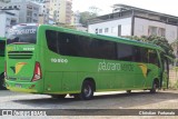 Pássaro Verde 16909 na cidade de Viçosa, Minas Gerais, Brasil, por Christian  Fortunato. Número da foto: #13282716.