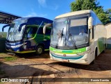 Pássaro Verde 11101 na cidade de Minas Novas, Minas Gerais, Brasil, por Ronnie Damião. Número da foto: #13282894.