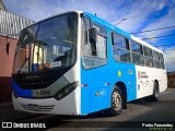 Transwolff Transportes e Turismo 6 6946 na cidade de São Paulo, São Paulo, Brasil, por Pedro Fernandes. Número da foto: #13280715.