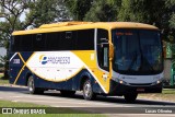 Viação Progresso 31306 na cidade de Muriaé, Minas Gerais, Brasil, por Lucas Oliveira. Número da foto: #13282135.