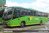 Pássaro Verde 15122 na cidade de Viçosa, Minas Gerais, Brasil, por Christian  Fortunato. Número da foto: #13282701.