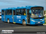 Biguaçu Transportes Coletivos Administração e Participação 1314 na cidade de Florianópolis, Santa Catarina, Brasil, por Gustavo  Bonfate. Número da foto: #13282297.