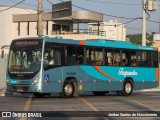 Auto Ônibus Fagundes RJ 101.453 na cidade de Niterói, Rio de Janeiro, Brasil, por Jordan Santos do Nascimento. Número da foto: #13283339.