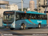 Auto Ônibus Fagundes RJ 101.338 na cidade de Niterói, Rio de Janeiro, Brasil, por Jordan Santos do Nascimento. Número da foto: #13283303.