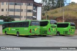 Pássaro Verde 15122 na cidade de Viçosa, Minas Gerais, Brasil, por Christian  Fortunato. Número da foto: #13282707.
