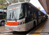 TRANSPPASS - Transporte de Passageiros 8 0176 na cidade de São Paulo, São Paulo, Brasil, por Gabriel Marinho. Número da foto: #:id.