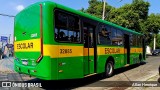 Transportes Capellini 32885 na cidade de Paulínia, São Paulo, Brasil, por Allan Henrique. Número da foto: #13281304.