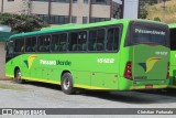 Pássaro Verde 15122 na cidade de Viçosa, Minas Gerais, Brasil, por Christian  Fortunato. Número da foto: #13282692.