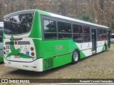 Padova Coletivos 3533 na cidade de Campinas, São Paulo, Brasil, por Ezequiel Vicente Fernandes. Número da foto: #13281043.