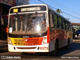 Empresa Perpétuo Socorro 04 06 02 na cidade de Santarém, Pará, Brasil, por Erick Pedroso Neves. Número da foto: #13283917.