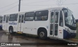 Stadtbus 803 na cidade de Santa Cruz do Sul, Rio Grande do Sul, Brasil, por Rui Hirsch. Número da foto: #13284106.