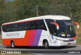 Transportadora Turística Petitto 4100 na cidade de Aparecida, São Paulo, Brasil, por Adailton Cruz. Número da foto: #13283813.