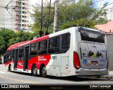 Himalaia Transportes > Ambiental Transportes Urbanos 4 1501 na cidade de São Paulo, São Paulo, Brasil, por Valnei Conceição. Número da foto: #:id.