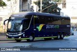 Pássaro Verde 16905 na cidade de Belo Horizonte, Minas Gerais, Brasil, por Eliziar Maciel Soares. Número da foto: #13283979.