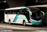 Santa Fé Transportes 202 na cidade de Belo Horizonte, Minas Gerais, Brasil, por Eliziar Maciel Soares. Número da foto: #13284018.