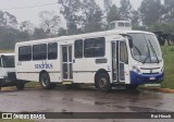 Stadtbus 2005 na cidade de Santa Cruz do Sul, Rio Grande do Sul, Brasil, por Rui Hirsch. Número da foto: #13284108.