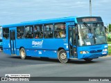 Biguaçu Transportes Coletivos Administração e Participação 386 na cidade de Florianópolis, Santa Catarina, Brasil, por Gustavo  Bonfate. Número da foto: #13284889.